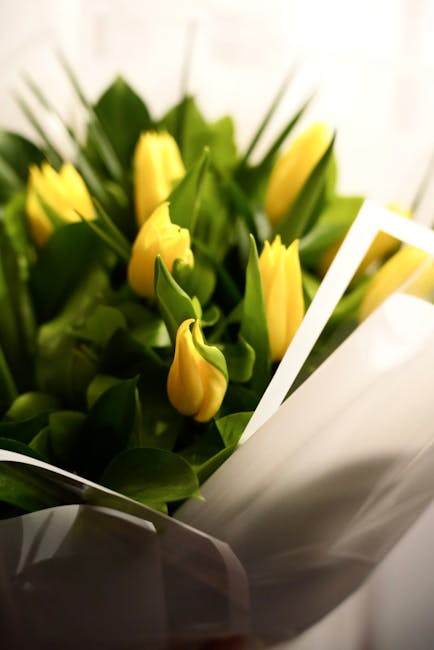 A bouquet of fresh yellow tulips with smooth, closed petals and vibrant green leaves, arranged in a neat cluster. The flowers are wrapped in clear and white floral paper, highlighting the bright color